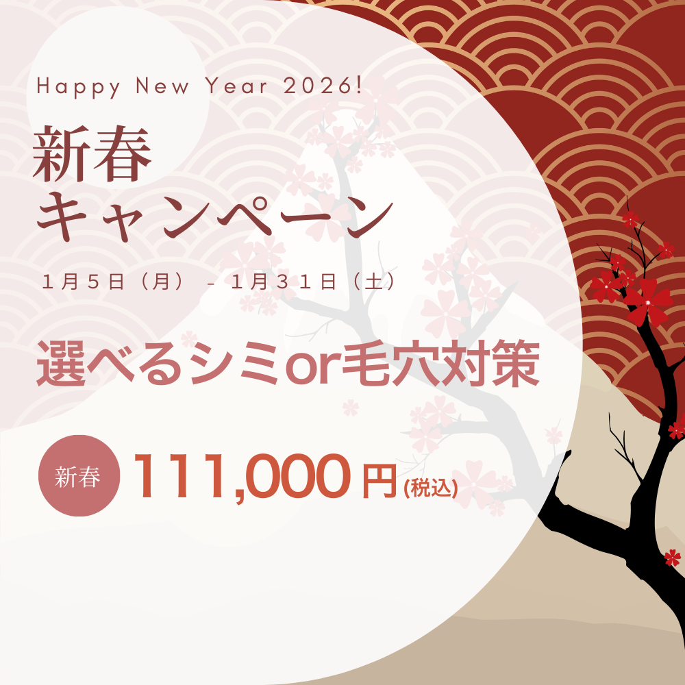 【新春キャンペーン】選べるシミor毛穴対策限定価格！